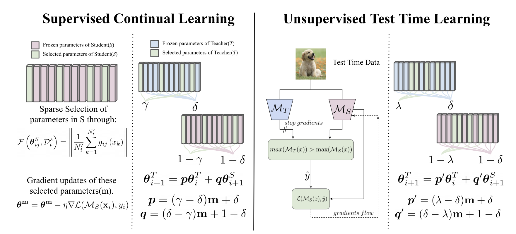 Dual-Phase Continual Learning: Supervised Adaptation Meets Unsupervised Retention